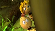 Maja und Willi belauschen einen Plan der Wespen. Maja und Willi belauschen einen Plan der Wespen.