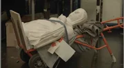 Regelm&auml;&szlig;ig tauchen gestohlene Antiquit&auml;ten aus Kriegsgebieten illegal auf dem Kunstmarkt auf. Der Schmuggel f&uuml;llt die Kassen von Milizen und Terroristen. Es ist ein Millionengesch&auml;ft mit den sogenannten Blutantiquit&auml;ten.