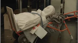 Regelm&auml;&szlig;ig tauchen gestohlene Antiquit&auml;ten aus Kriegsgebieten illegal auf dem Kunstmarkt auf. Der Schmuggel f&uuml;llt die Kassen von Milizen und Terroristen. Es ist ein Millionengesch&auml;ft mit den sogenannten Blutantiquit&auml;ten.