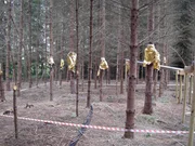G&ouml;ttinger Forscher haben auf einer abgemessenen Fl&auml;che Fichten gezielt gef&auml;llt. Eine Reduzierung der Baumzahl hat positive Auswirkung  auf den Wasserhaushalt der verbliebenen B&auml;ume.