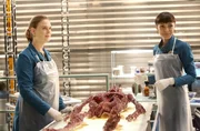 Brennan (Emily Deschanel, l.) und Cam (Tamara Taylor) Brennan (Emily Deschanel, l.) und Cam (Tamara Taylor)