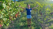Weinberg (AT) 2 Weinberg (AT) 2