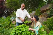 Der 4500 Quadratmeter große Garten von Sabine und Herbert Bauer in Floing wurde angelegt. Aus dem einst verwilderten Grundstück entstand ein fernöstlich inspirierter Naturgarten mit Teich, Insel und Holztempel, markanten Steinschlichtungen und einer vielfältigen Pflanzenwelt von heimischen Kräutern bis zu Bambus und Mammutbäumen. Der 4500 Quadratmeter große Garten von Sabine und Herbert Bauer in Floing wurde angelegt. Aus dem einst verwilderten Grundstück entstand ein fernöstlich inspirierter Naturgarten mit Teich, Insel und Holztempel, markanten Steinschlichtungen und einer vielfältigen Pflanzenwelt von heimischen Kräutern bis zu Bambus und Mammutbäumen.