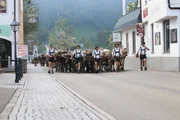Herbert Fink (Mitte) f&uuml;hrt den Almabtrieb an.