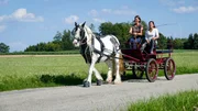 Tinkerstute "Gipsy" hat genug Kraft, um alleine die Kutsche mit Andrea und Anna (rechts) darauf zu ziehen. Tinkerstute "Gipsy" hat genug Kraft, um alleine die Kutsche mit Andrea und Anna (rechts) darauf zu ziehen.