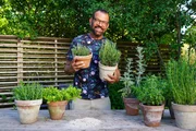 Karl Ploberger stellt ideale Sommerkräuter für sonnige, trockene Standorte vor; Pflegehinweise und Rückschnitte. Karl Ploberger stellt ideale Sommerkräuter für sonnige, trockene Standorte vor; Pflegehinweise und Rückschnitte.
