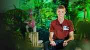Im Gondwanaland soll das große Becken der Riesenottern von Algen und Schmutz befreit werden und jede helfende Hand wird gebraucht. Im Gondwanaland soll das große Becken der Riesenottern von Algen und Schmutz befreit werden und jede helfende Hand wird gebraucht.