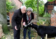 Inge (Peggy Lukac, r.) und Udo (Klaus Mikoleit, l.) finden eine verletzte Ziege und sehen sich in ihrer Entscheidung, einen Gnadenhof f&uuml;r Tiere zu er&ouml;ffnen, best&auml;tigt.