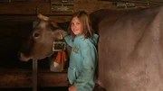 Die Kuh Lena im Stall kurz bevor ihrer großen Reise ins Allgäu. Die Kuh Lena im Stall kurz bevor ihrer großen Reise ins Allgäu.