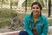 Auf einer Farm lernt die Tierreporterin Maya kennen. Das Jaguar-Weibchen wurde als Baby ohne Mutter gefunden und musste in einem Gehege großgezogen werden. Auf einer Farm lernt die Tierreporterin Maya kennen. Das Jaguar-Weibchen wurde als Baby ohne Mutter gefunden und musste in einem Gehege großgezogen werden.