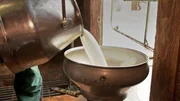 Die Kuh Lena und ihre Herde geben Milch für den Käse, der hier hergestellt wird. Die Kuh Lena und ihre Herde geben Milch für den Käse, der hier hergestellt wird.
