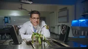 Jimmy Palmer (Brian Dietzen)