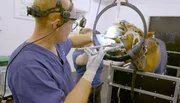 Aufwendige Wurzelbehandlung: Auch Pferde brauchen mal den Zahnarzt – in der Tierklinik Lüsche gibt es dafür Spezialgeräte. Aufwendige Wurzelbehandlung: Auch Pferde brauchen mal den Zahnarzt – in der Tierklinik Lüsche gibt es dafür Spezialgeräte.