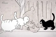 Wie alle Katzen hat Moustique panische Angst vor Gurken – aber Stéphane reitet heute der Schalk. Wie alle Katzen hat Moustique panische Angst vor Gurken – aber Stéphane reitet heute der Schalk.