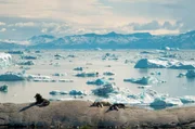 In Gr&ouml;nland zieht sich das Gletschereis durch die steigenden Temperaturen zur&uuml;ck &ndash; die K&uuml;stenlandschaft ver&auml;ndert sich.