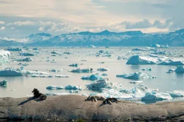 In Gr&ouml;nland zieht sich das Gletschereis durch die steigenden Temperaturen zur&uuml;ck &ndash; die K&uuml;stenlandschaft ver&auml;ndert sich.