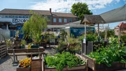Auf ‚Inselgrün‘, dem Gemeinschaftsgartenprojekt in Stuttgart, wachsen Pflanzen in mobilen Beeten, in Einkaufswagen und alten Badewannen; Gegärtnert wird auf dem Außengelände der Kulturstiftung Stuttgart. Auf ‚Inselgrün‘, dem Gemeinschaftsgartenprojekt in Stuttgart, wachsen Pflanzen in mobilen Beeten, in Einkaufswagen und alten Badewannen; Gegärtnert wird auf dem Außengelände der Kulturstiftung Stuttgart.