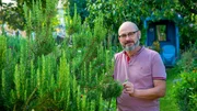 Die fünfte Folge führt in die älteste Gemeinde der Südpfalz. Rheinzabern wurde als „Tabernae“ von den Römern gegründet. Peter Hamburger und sein Mann Roland Häfele pflegen einen Garten als Schlaraffenland für Vögel und Insekten; sie stoßen bei der Arbeit immer wieder auf Spuren der römischen Siedler. Die fünfte Folge führt in die älteste Gemeinde der Südpfalz. Rheinzabern wurde als „Tabernae“ von den Römern gegründet. Peter Hamburger und sein Mann Roland Häfele pflegen einen Garten als Schlaraffenland für Vögel und Insekten; sie stoßen bei der Arbeit immer wieder auf Spuren der römischen Siedler.