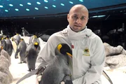 Im Pinguarium ist großer Putztag und das freut Königspinguin Agatha. Im Pinguarium ist großer Putztag und das freut Königspinguin Agatha.