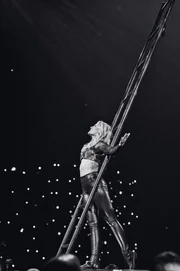 Helene Fischer,  Rausch Live - Die Arena-Tour