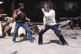 McQuade (Chuck Norris,l.) liefert sich einen gnadenlosen Nahkampf mit Waffenschmuggler Wilkes (David Carradine).