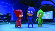 Eulette, Catboy und Gecko