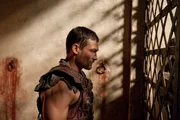 Spartacus (Andy Whitfield) Spartacus (Andy Whitfield)