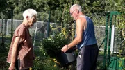 Während Heide und ihre Freundinnen sich mit Prosecco gut gelaunt der Gemüseernte widmen, bekommt Rentnerin Ingrid erst Besuch von einem Nachbarn, später von einem Handwerker. Zudem hat ein Sturm die Anlage getroffen und Schäden angerichtet. Während Heide und ihre Freundinnen sich mit Prosecco gut gelaunt der Gemüseernte widmen, bekommt Rentnerin Ingrid erst Besuch von einem Nachbarn, später von einem Handwerker. Zudem hat ein Sturm die Anlage getroffen und Schäden angerichtet.