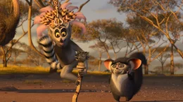 Auf wiedersehen Madagascar! Die vier New Yorker Zootiere wollen wieder ins heimatliche Amerika zur&uuml;ck. Doch dann sie landen in Afrika ...