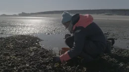 Meeres&ouml;kologin Annika Cornelius (vom Alfred-Wegener-Institut) erforschteingeschleppte Arten im Wattenmeer.