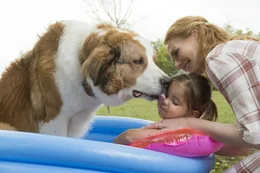 L-R: Bailey (Josh Gad), Toddler CJ (Emma Volk), Hannah (Marg Helgenberger)