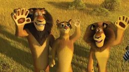 Der Plan war, Madagascar den R&uuml;cken zu kehren und zur&uuml;ck ins heimatliche Amerika zur&uuml;ckzukehren. Doch nach einer Bruchlandung in Afrika trifft Alex dort seine Familie ...