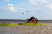 Die Hallig Nordstrandischmoor bei „Landunter": Nur die Häuser auf den erhöhten Warften werden nicht überschwemmt. Die Hallig Nordstrandischmoor bei „Landunter": Nur die Häuser auf den erhöhten Warften werden nicht überschwemmt.