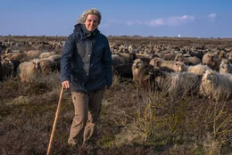 Wandersch&auml;ferin Uta Wree (mit ihren Tieren auf Sylt).