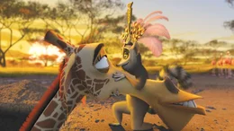 Giraffe Melman (l.) wollte mit seinen drei Freunden nach New York zur&uuml;ck. Doch sie landen stattdessen in Afrika und dort erwarten sie neue Abenteuer ...
