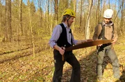 Mathias Gläser und Jan Vockel. Die beiden sind Zimmerermeister und Restauratoren im Handwerk. Sie fällen die Esche mit Äxten, zersägen dann den Stamm und zeigen mit alten Techniken, wie man aus dem Rundholz optimal einen eckigen Balken arbeitet. Mathias Gläser und Jan Vockel. Die beiden sind Zimmerermeister und Restauratoren im Handwerk. Sie fällen die Esche mit Äxten, zersägen dann den Stamm und zeigen mit alten Techniken, wie man aus dem Rundholz optimal einen eckigen Balken arbeitet.