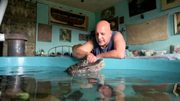 Michael lebt seit 40 Jahren mit seinem Krokodil zusammen.