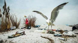 &Uuml;berall am Strand liegt Plastikm&uuml;ll rum, eine Katastrophe f&uuml;r die Tiere und verstricken sich oft t&ouml;dlich da drin.