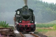 Seit 1982 befährt der Dampfzug des Museums-Eisenbahn-Clubs Losheim (MECL) ein 15 km langes Streckenstück der ehemaligen Merzig-Büschfelder Eisenbahn. Seit 1982 befährt der Dampfzug des Museums-Eisenbahn-Clubs Losheim (MECL) ein 15 km langes Streckenstück der ehemaligen Merzig-Büschfelder Eisenbahn.