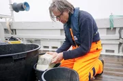 Plastisphäre-Forscher Dr. Lars Gutow bei seiner Arbeit auf einem Forschungsschiff vor der Nordseeinsel Helgoland. Plastisphäre-Forscher Dr. Lars Gutow bei seiner Arbeit auf einem Forschungsschiff vor der Nordseeinsel Helgoland.