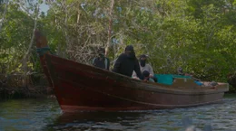 Die Mangrovenw&auml;lder der indonesischen Riau-Inseln sind ein ideales Versteck f&uuml;r Piratenbanden.