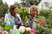 Um eine freie Parzelle in der Schrebergartenkolonie zu bekommen, will Xaver Frühweiss (Franz-Xaver Zeller, r.) Frau Grasegger mit frisch gepflückten Blumen beeindrucken, wovon seine Freundin Katja Ostermeier (Mira Huber, l.) wenig begeistert ist. Um eine freie Parzelle in der Schrebergartenkolonie zu bekommen, will Xaver Frühweiss (Franz-Xaver Zeller, r.) Frau Grasegger mit frisch gepflückten Blumen beeindrucken, wovon seine Freundin Katja Ostermeier (Mira Huber, l.) wenig begeistert ist.