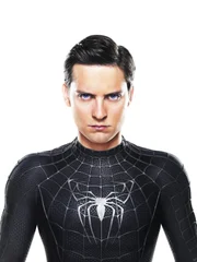Spider-Man/Peter Parker (Tobey Maguire)
