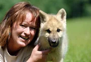 Schauplatz der 30 Folgen "Wolf, Bär & Co" ist der Wildpark Lüneburger Heide, Deutschlands größter Wildpark mit 140 verschiedenen Arten und über 1000 Tieren. Der Park besitzt unter anderem seltene Schneeleoparden und mehrere Wolfsrudel, darunter schneeweiße Polarwölfe. Wolfsmutter Tanja Askani mit Handaufzucht Noran. Schauplatz der 30 Folgen "Wolf, Bär & Co" ist der Wildpark Lüneburger Heide, Deutschlands größter Wildpark mit 140 verschiedenen Arten und über 1000 Tieren. Der Park besitzt unter anderem seltene Schneeleoparden und mehrere Wolfsrudel, darunter schneeweiße Polarwölfe. Wolfsmutter Tanja Askani mit Handaufzucht Noran.