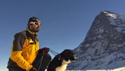 ARD/NDR SPÜRNASE, FÄHRTENSAU & CO. (17), "Familienzusammenführung". Für die beiden einjährigen Lawinenhunde, Bordercollie Cami und Labrador Spike, geht es weiter mit der Ausbildung in den Schweizer Alpen. ARD/NDR SPÜRNASE, FÄHRTENSAU & CO. (17), "Familienzusammenführung". Für die beiden einjährigen Lawinenhunde, Bordercollie Cami und Labrador Spike, geht es weiter mit der Ausbildung in den Schweizer Alpen.