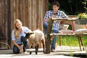 Theresa (Ines Lutz, l.) und Moritz (Daniel Fünffrock, r.) pflegen ein verletztes Lämmchen und genießen ihr Glück. Theresa (Ines Lutz, l.) und Moritz (Daniel Fünffrock, r.) pflegen ein verletztes Lämmchen und genießen ihr Glück.