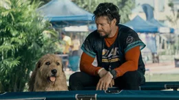 Sie wissen es noch nicht, doch sie werden unzertrennlich: Michael (Mark Wahlberg) und Hund Arthur (Ukai), ein Streuner.