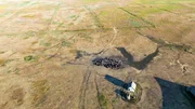 Ein kleiner Schwarm ungarischer Landziegen an einer Wasserstelle. Ein kleiner Schwarm ungarischer Landziegen an einer Wasserstelle.