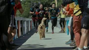 l-r: Ali Suliman als Chik, Mark Wahlberg als Michael, Nathalie Emmanuel als Olivia und Simu Liu als Leo