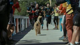 l-r: Ali Suliman als Chik, Mark Wahlberg als Michael, Nathalie Emmanuel als Olivia und Simu Liu als Leo